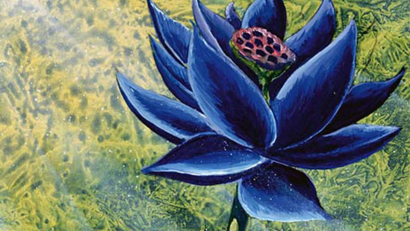 Top 10 des cartes Magic: The Gathering les plus emblématiques